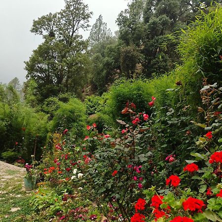 Himwanderer Camps & Cottages Pangot 나이니탈 외부 사진
