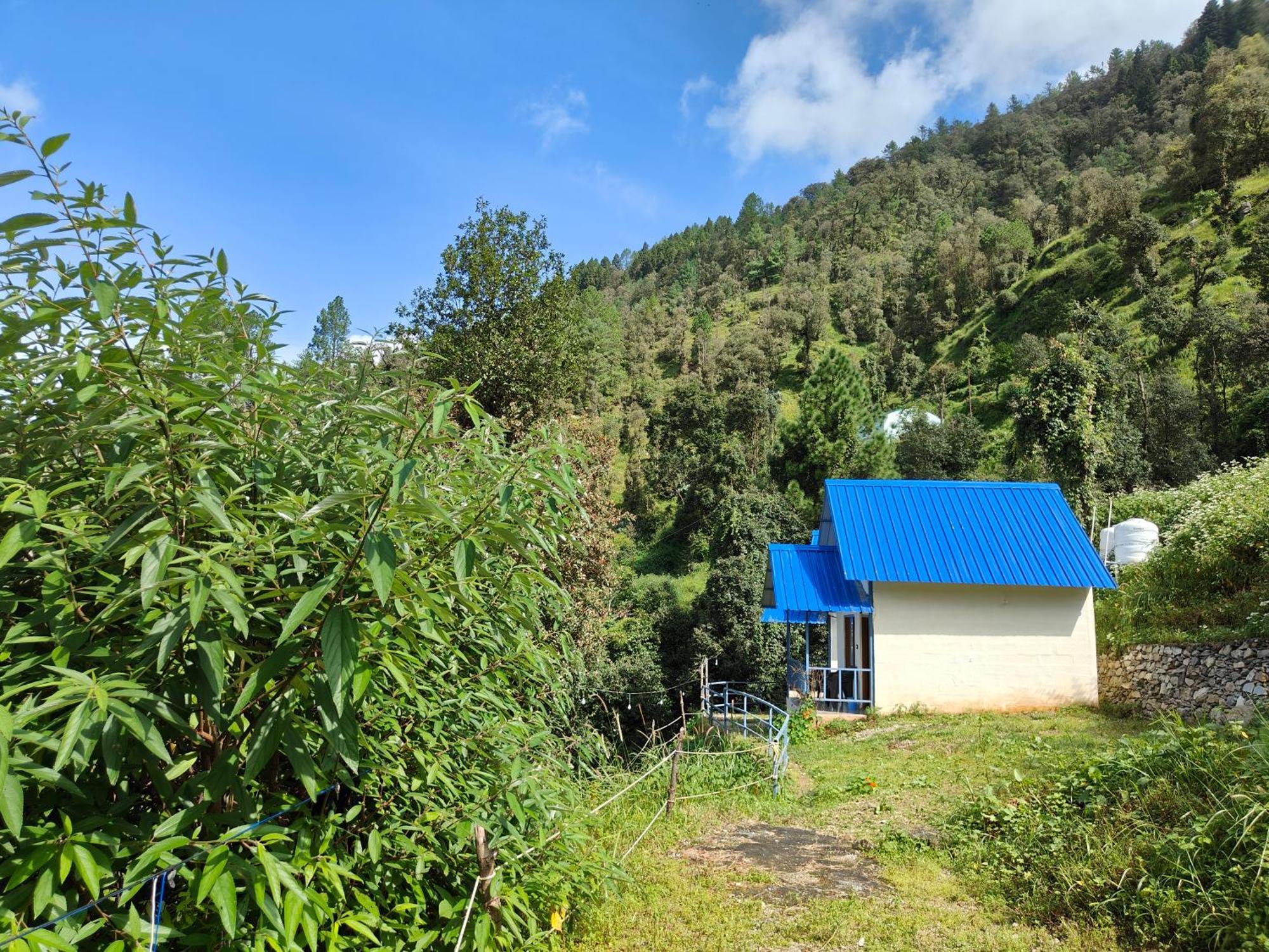 Himwanderer Camps & Cottages Pangot 나이니탈 외부 사진