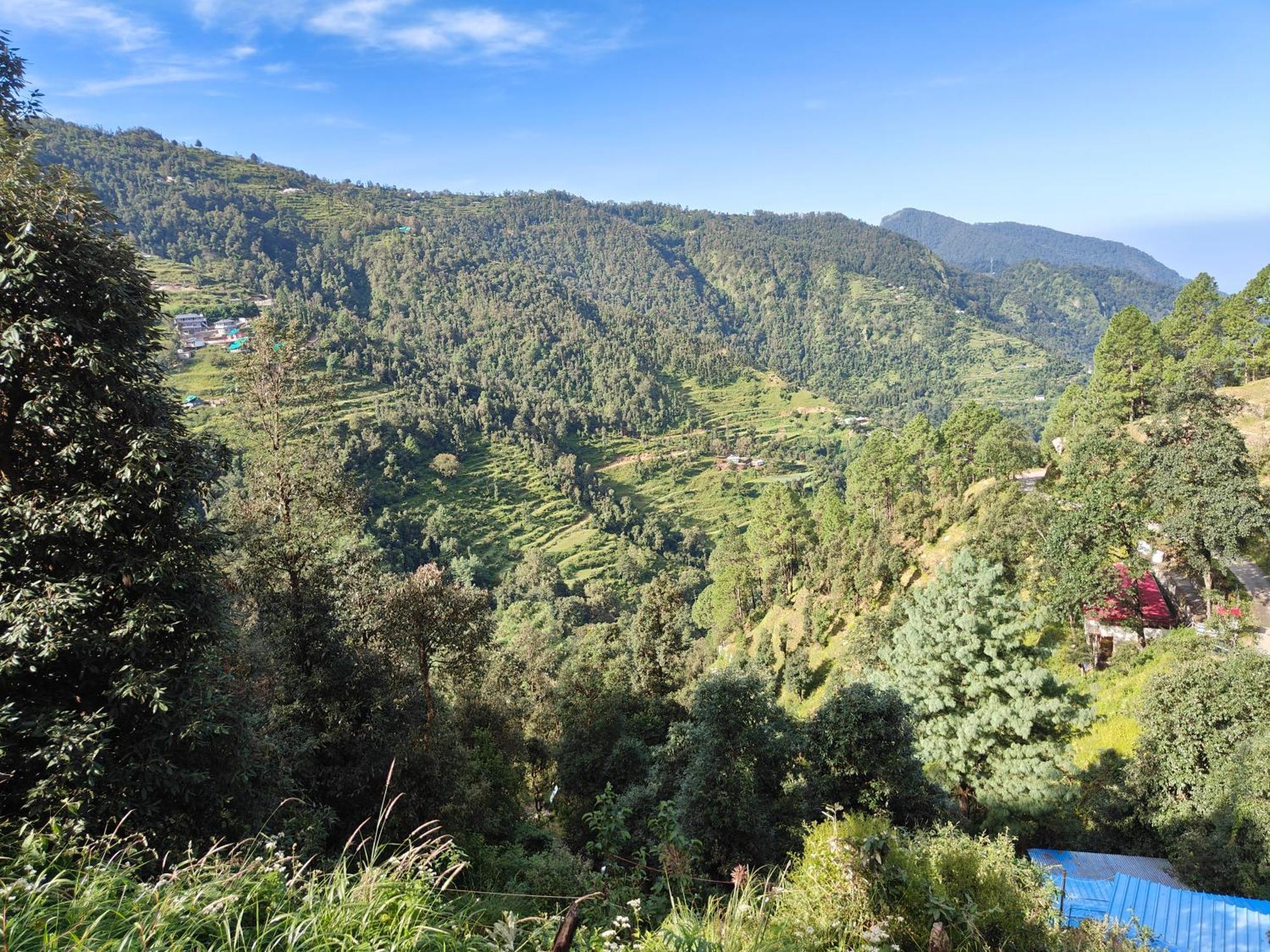Himwanderer Camps & Cottages Pangot 나이니탈 외부 사진