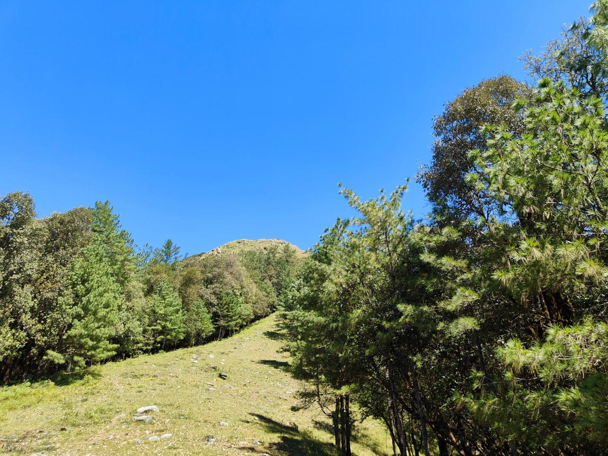 Himwanderer Camps & Cottages Pangot 나이니탈 외부 사진
