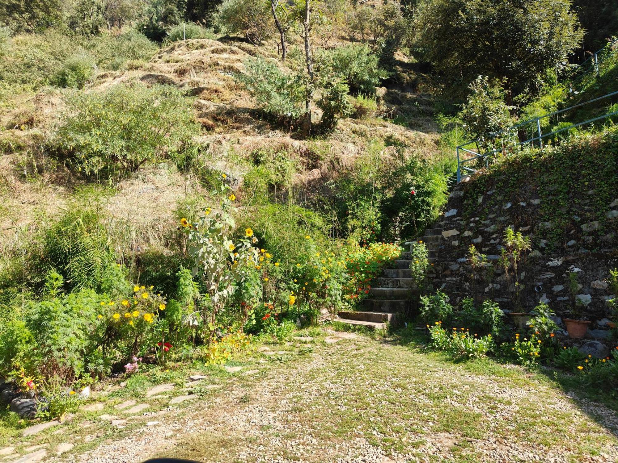 Himwanderer Camps & Cottages Pangot 나이니탈 외부 사진